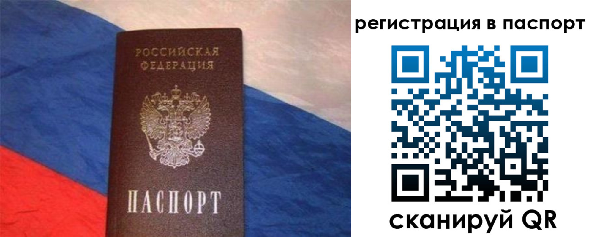 прописка от собственника в Гвардейске